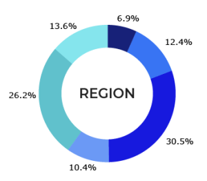 Raspodela gig radnika po profesijama - region